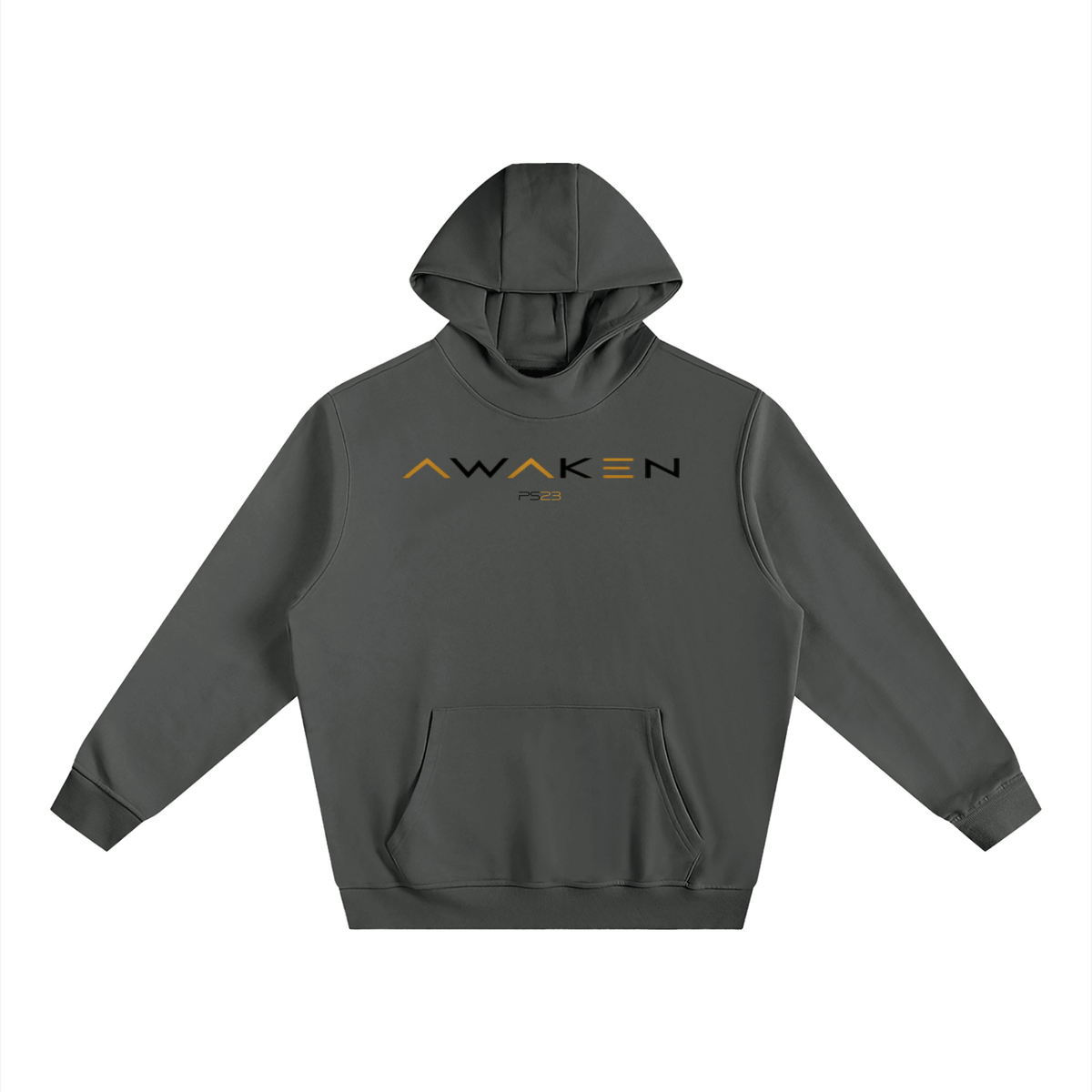 PS23 AWAKEN Fleeced High Neck Hoodie
