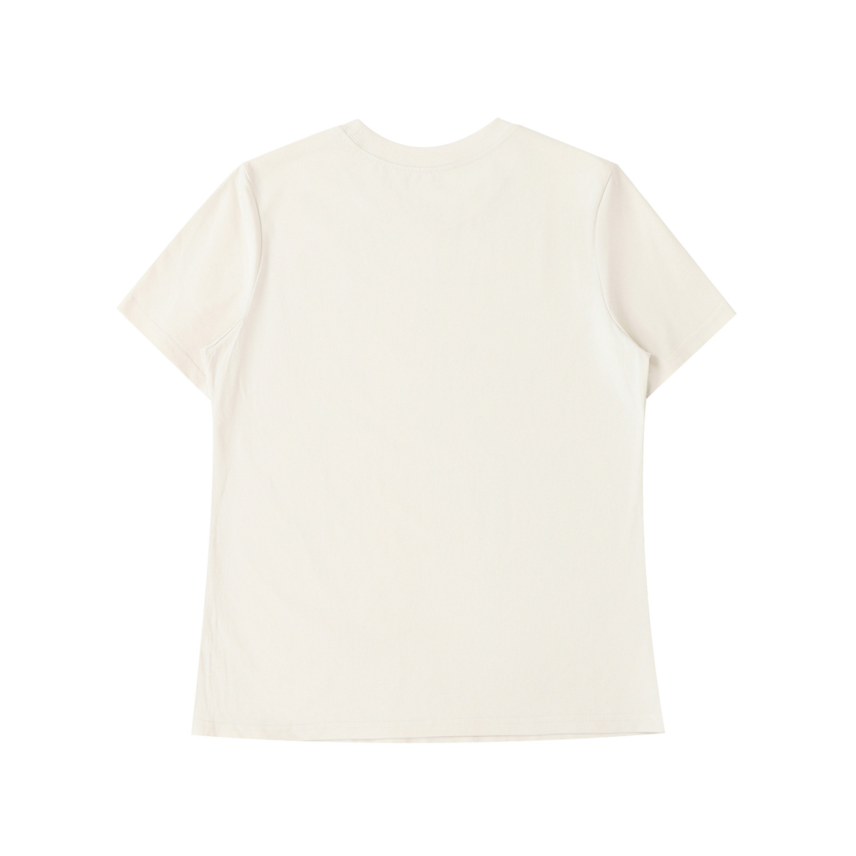 PS23 Embroidery Proverbs 31 Women’s Standard Shoulder T-Shirt