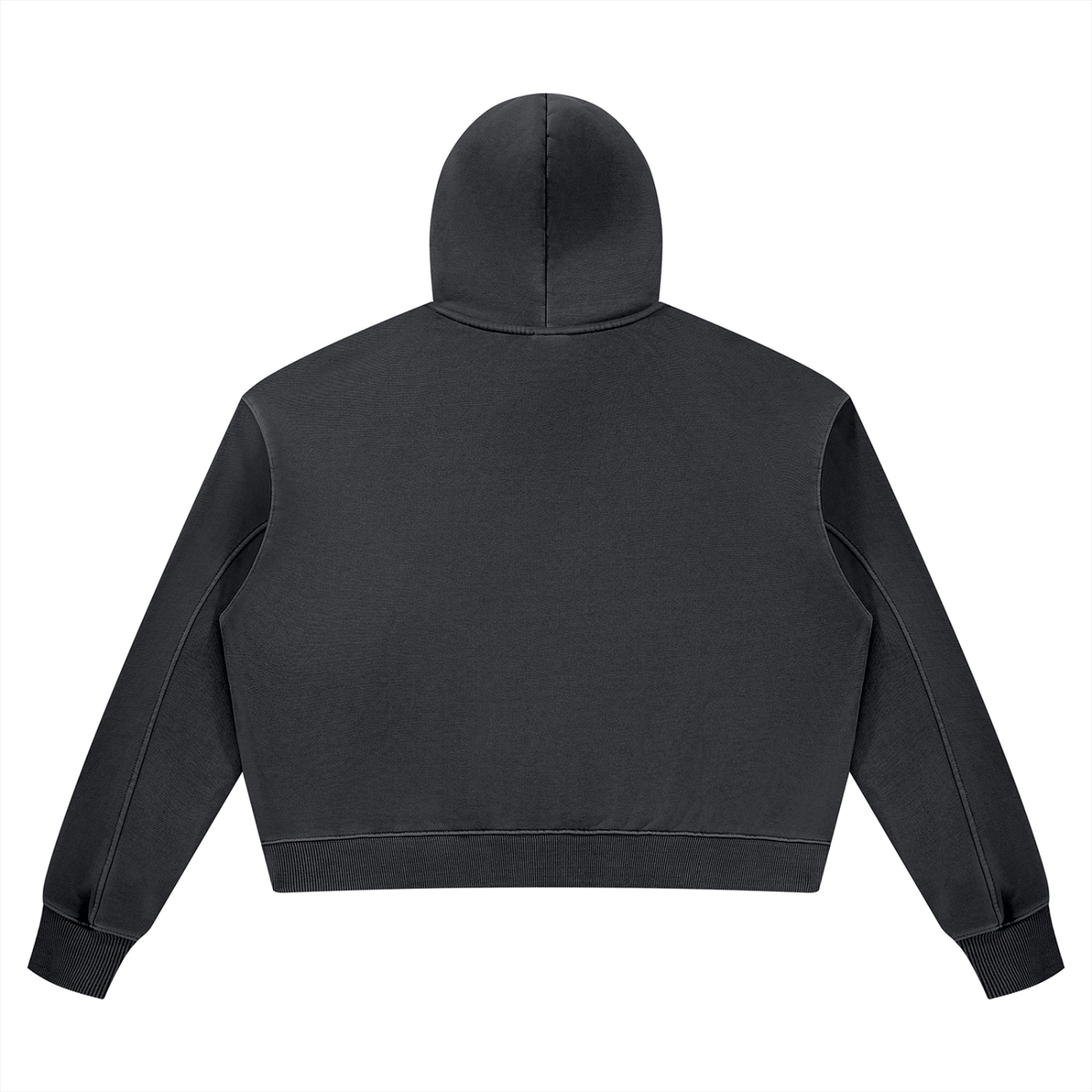 PS23 Rooted Psalm 1:3 Women’s Vintage Wash Heavyweight Hoodie