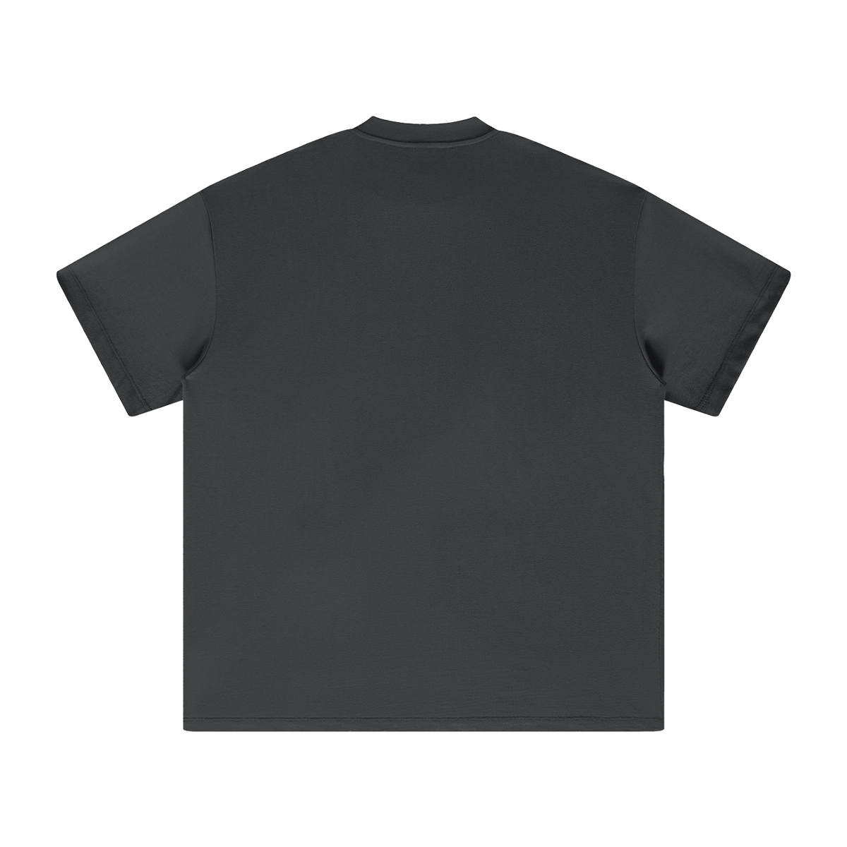 PS23 Embroidery Brokenstored Oversized Heavyweight T Shirt