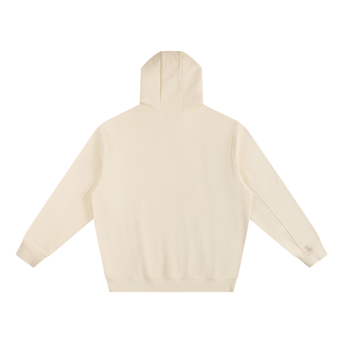 PS23 AWAKEN Fleeced High Neck Hoodie