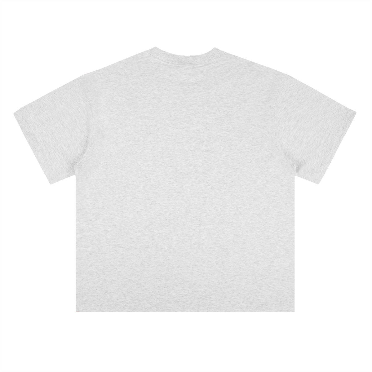 PS23 Obedience Heavyweight Drop Shoulder Cotton T-Shirt