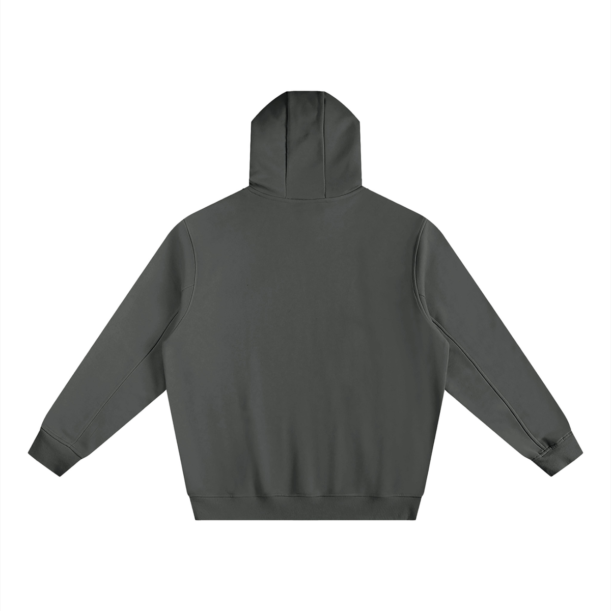 PS23 AWAKEN Fleeced High Neck Hoodie