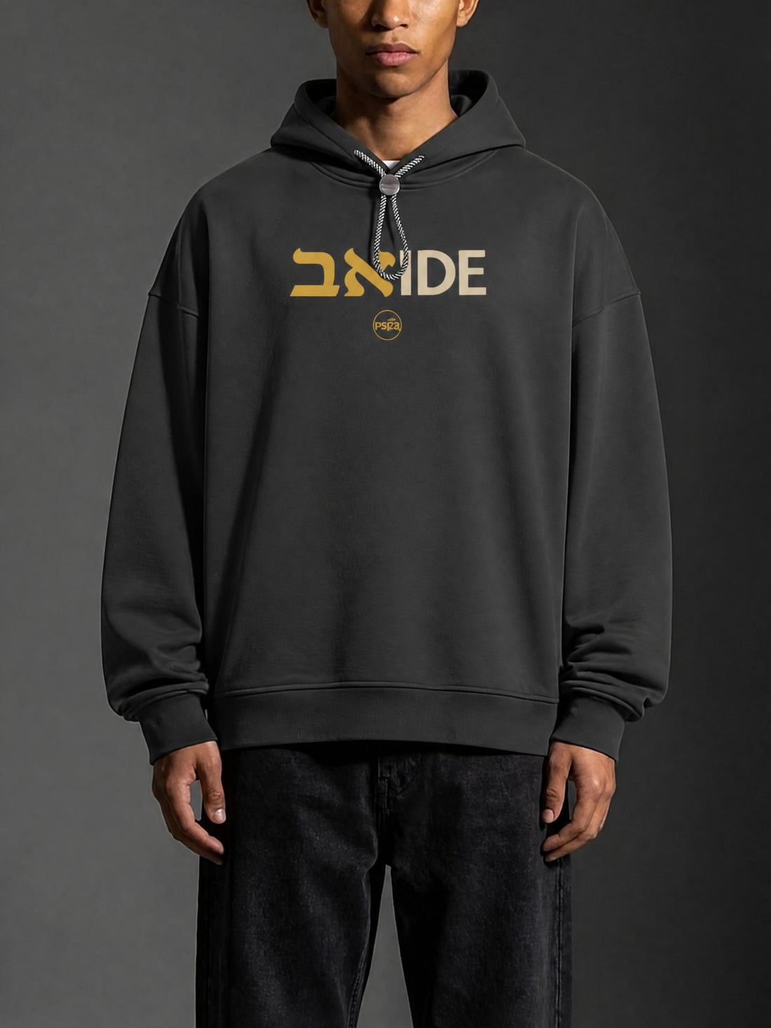 PS23 Bilingual Concept Abide Oversized Fleece Hoodie